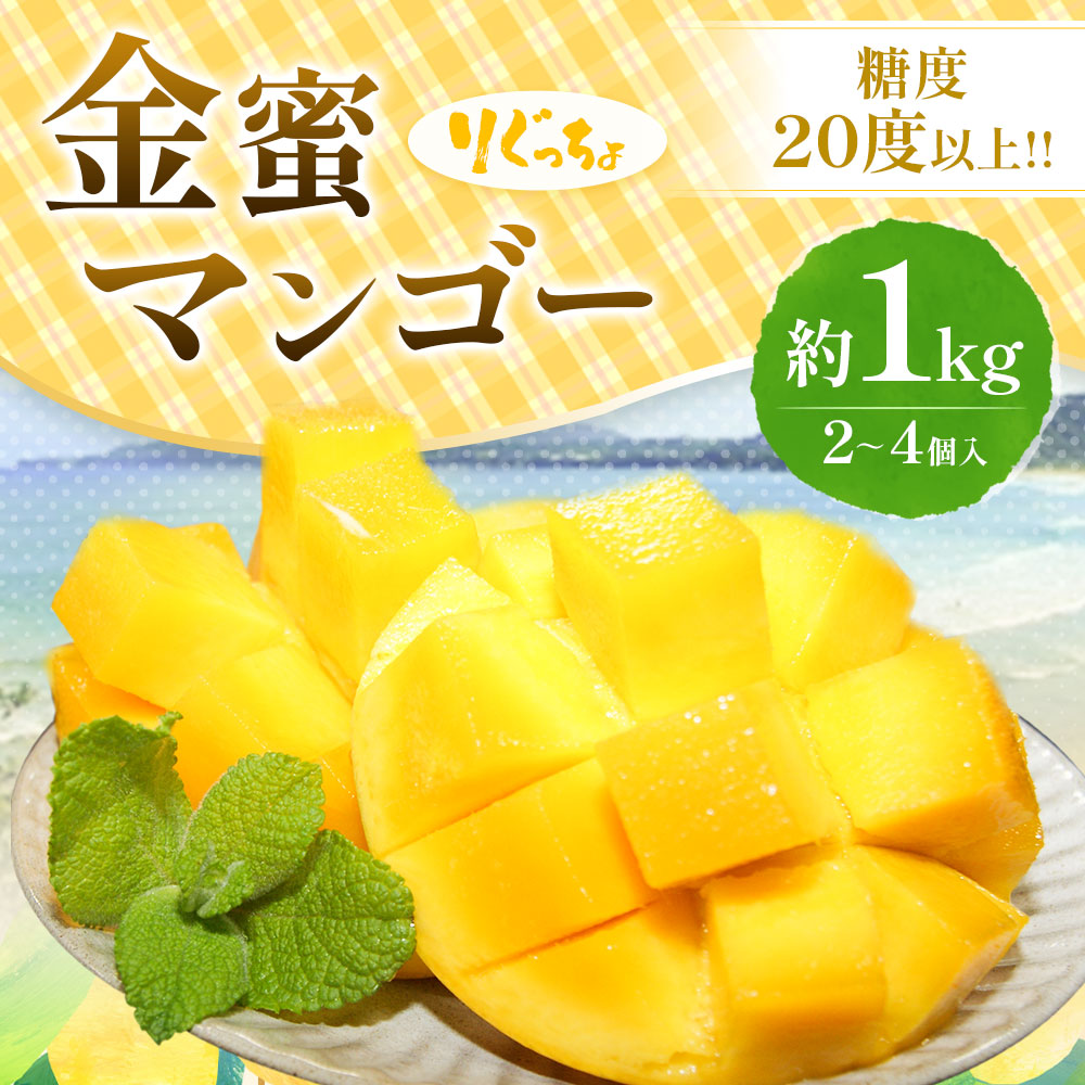 完熟金蜜マンゴー１kg（２個〜４個入り）先行予約 果物 南国フルーツ