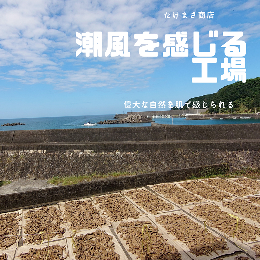 伝統の宗田節納屋　見学＆体験券（1グループ4名）観光 チケット 鰹節工場見学 夏休み 自由研究【R00642】