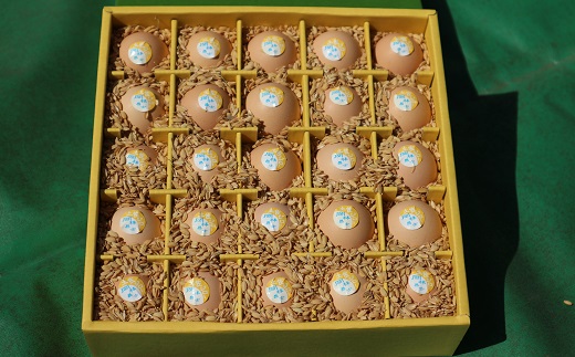 定期便：土佐ジローの卵（25個入り×6回）【DO-2】