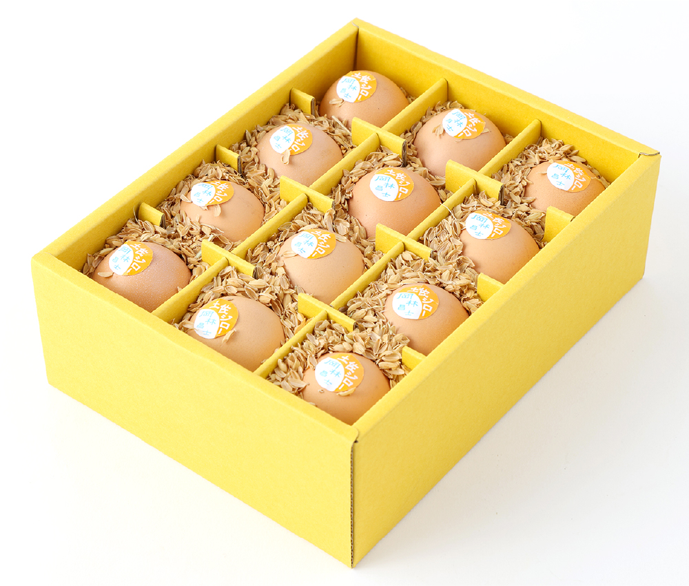 ましくんの完全放し飼い土佐ジローの卵 (12個入り×2箱)もみ殻梱包 ブランド卵 タマゴ【R00444】