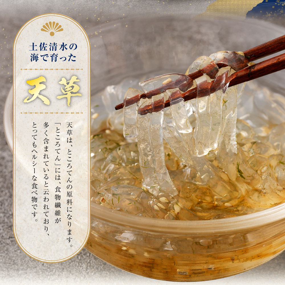 南房総産 天草 ところてん 海藻 10キロ - 魚介類(加工食品)