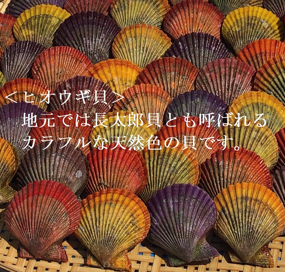 野菜盛り!ヒオウギ貝の黄金焼き（４個/1パック）冷凍食品 魚貝 ホタテ類 おかず 惣菜 おつまみ【R00772】