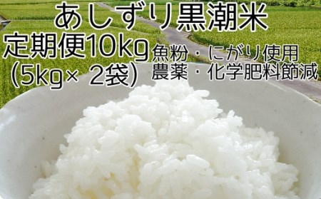 【5回定期便】あしずり 黒潮米10kg(5kg×2袋)×5回 定期便 5回 【コシヒカリ】 こしひかり 精米 白米 お米 おコメ 米 ブランド米 ご飯 ごはん おにぎり 高知県【J00140】