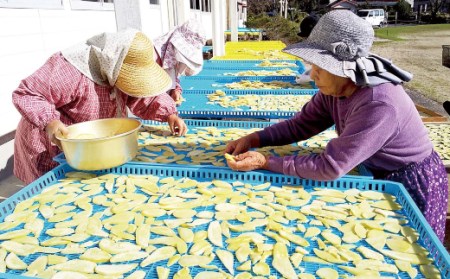 無添加 芋もち 2種セット（プレーン味＆紫芋味）計12枚 先行予約 餅 芋餅 スイーツ 和菓子 おやつ デザート お菓子 かんば餅 干し芋 いももち さつまいも おいしい 美味しい プレーン 紫芋【R00204】