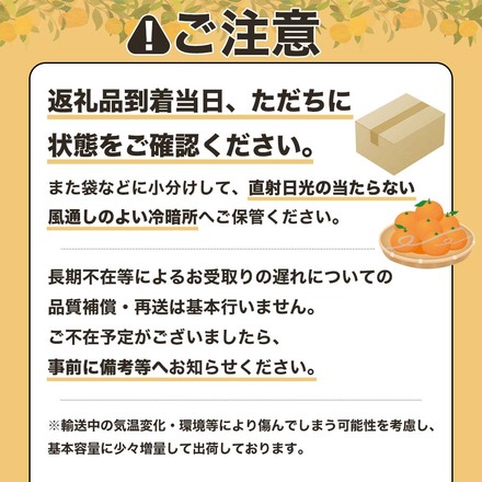 先行予約 太陽の恵みをいっぱい受けて育った土佐文旦 贈答用 5kg 5キロ 3L～4L 柑橘 フルーツ ミカン ぶんたん ブンタン 果物 くだもの ギフト プレゼント【R01137】