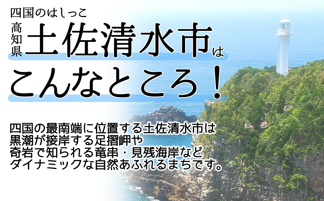 あしずり温泉郷 共通宿泊クーポン券 90,000円分 あしずり温泉郷 旅行券 トラベル ペア 家族 温泉 ホテル 観光 旅行 国内旅行 宿泊 宿泊施設 自然 旅館 高知県 土佐清水市【R01319】