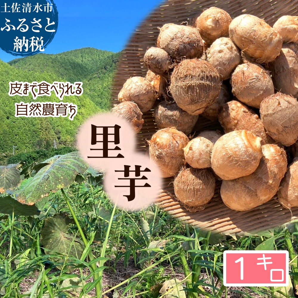 とびきり美味しい！ 自然農育ち 里芋 1kg 軽洗 皮まで食べられる 軽洗い さといも サトイモ 里いも 皮つき 無農薬野菜 野菜 芋煮 煮物 コロッケ 具材【R01344】