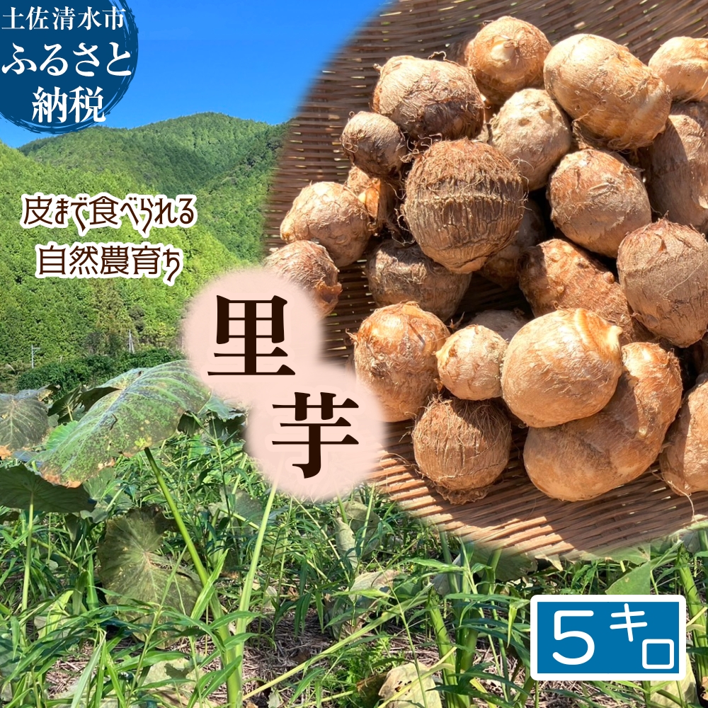 とびきり美味しい！ 自然農育ち 里芋 5kg 軽洗 皮まで食べられる 軽洗い さといも サトイモ 里いも 皮つき 無農薬野菜 野菜 芋煮 煮物 コロッケ 具材【R01345】