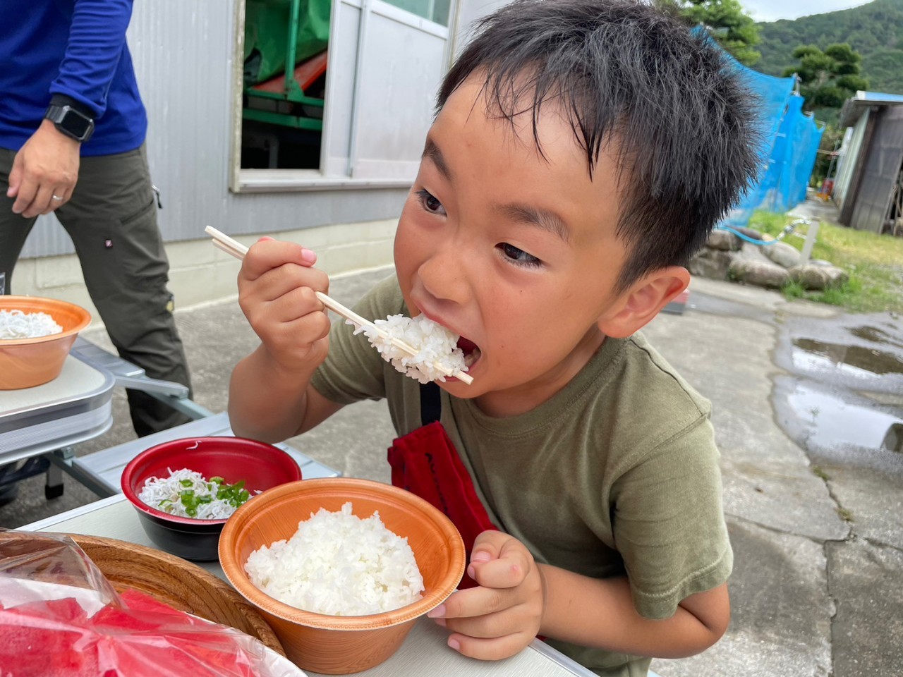 【先行予約】令和6年産 新米 コシヒカリ精米5kg（1袋）白米 お米 ご飯 米 kome こめ コシヒカリ こしひかり 高知県産 5キロ 故郷納税 返礼品 高知 土佐清水市 【R01181】