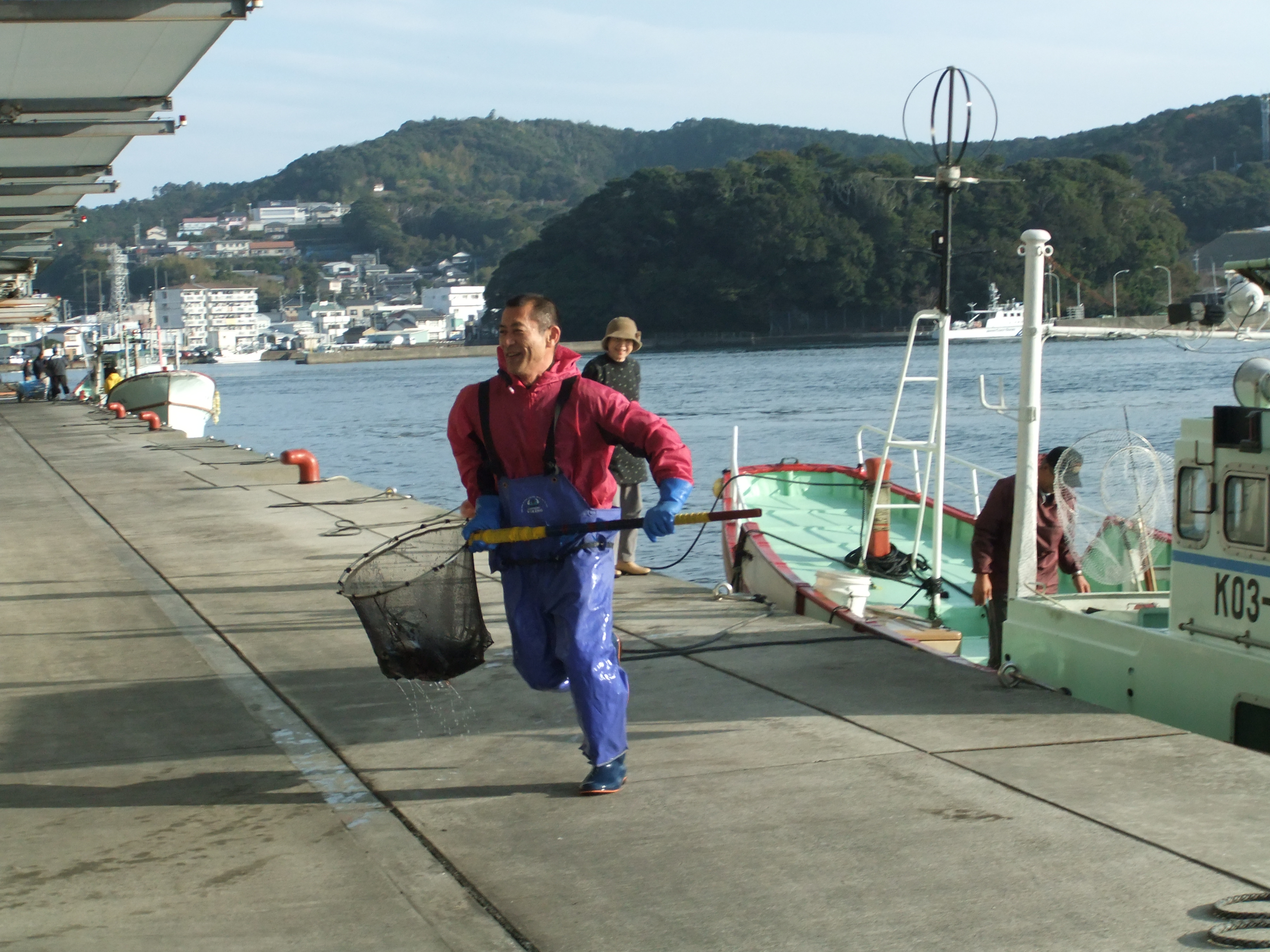 活〆土佐の清水さば（2尾） ブランドゴマサバ  鯖 鮮魚 刺身 直送【R00246】