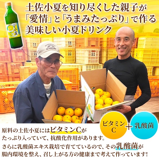 福袋 特産品10品詰め合わせセット（調味料 コーヒー粉 柑橘飲料 お菓子 宗田節など）清水さば かつお節 小夏 ジュース コーヒー ドレッシング 醤油 亀おこし ギフト お中元 お歳暮【R00600】