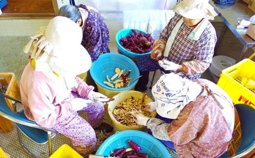 無添加 芋もち 2種セット（プレーン味＆紫芋味）計8枚 先行予約 餅 芋餅 スイーツ 和菓子 おやつ デザート お菓子 かんば餅 干し芋 いももち さつまいも おいしい 美味しい プレーン 紫芋【R00108】