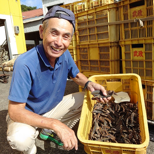 宗田節6種小袋セット（かつお節類）～だしで本格料理！～（ギフト・贈答対応）鰹節 出汁 厚削り うす削り ほそ削り 青のり 醤油づくり 昆布 和風 和食 白米のトッピング お中元 お歳暮【R00239】