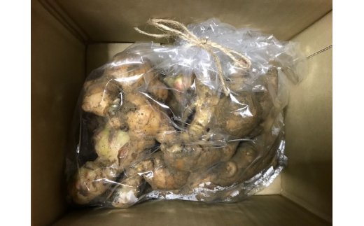 【先行予約】自然農 新生姜１kg（自然のままの土付き）皮まで食べられる 甘酢漬け ガリ ショウガ【R00216】