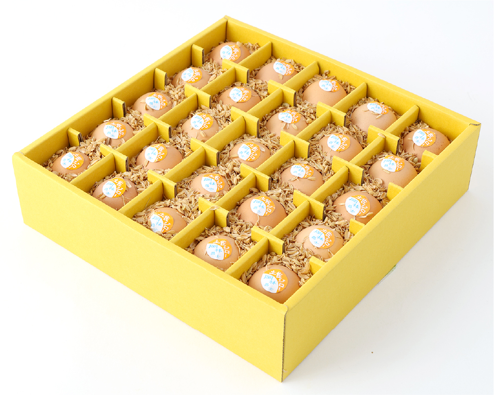 ましくんの完全放し飼い土佐ジローの卵　(25個入り×2箱)もみ殻梱包 ブランド卵 タマゴ【R00632】