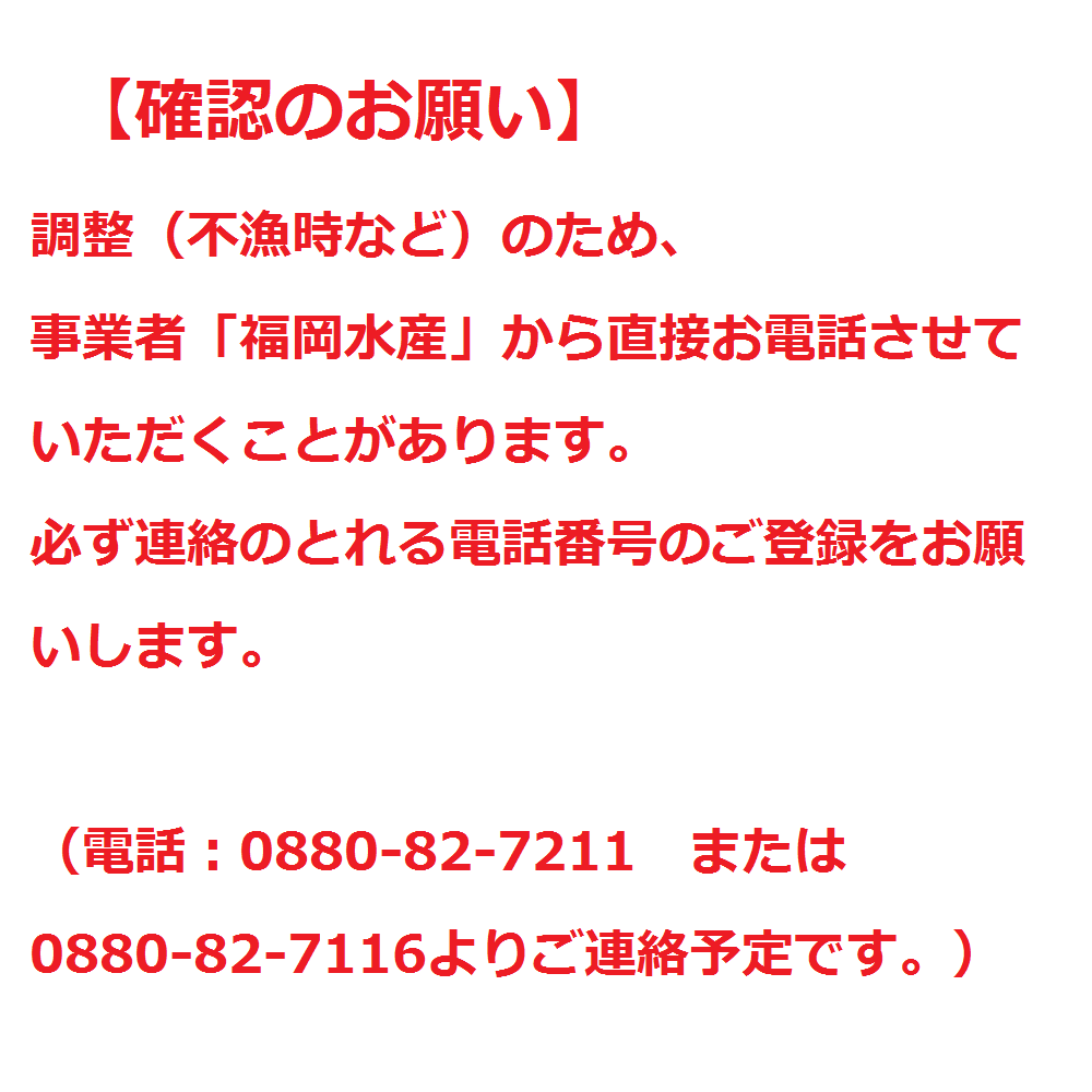 【先行予約】伊勢海老2.3kg（サイズおまかせ高知県産）※着日指定不可※エビ 甲殻類 海鮮BBQ アウトドア キャンプ お祝い【R00724】