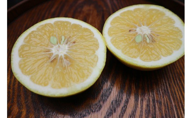 早川農園の足摺小夏（３kg）日向夏 みかん 柑橘 フルーツ こなつ ﾆｭｰｻﾏｰｵﾚﾝｼﾞ 先行予約【R00191】