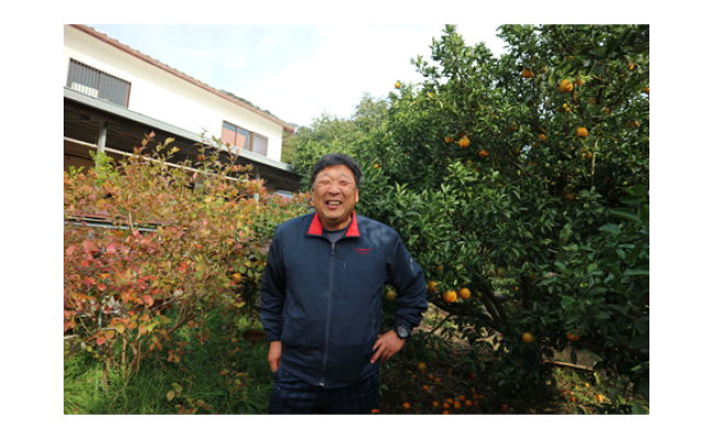 早川農園のぽんかん（５kg）デコポンの親 みかん 柑橘 フルーツ 先行予約【R00213】