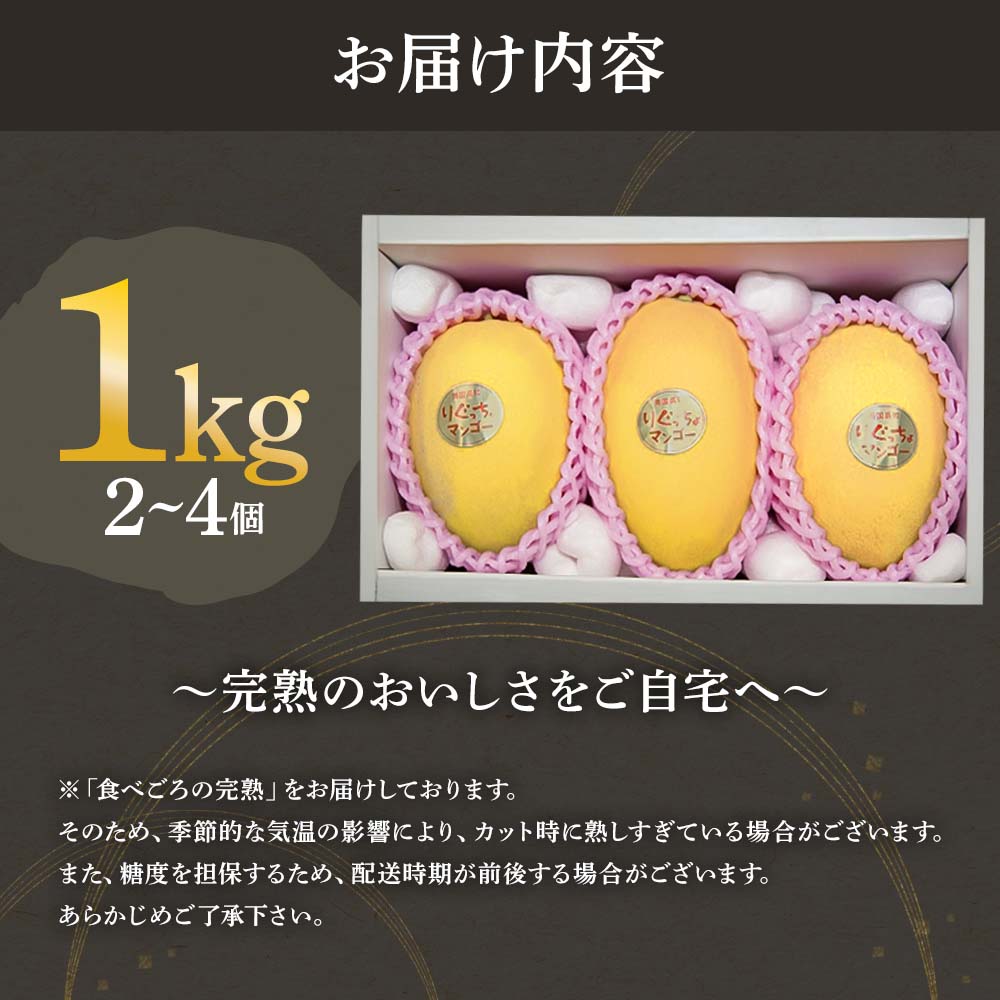 先行予約 レア品種 完熟金蜜マンゴー１kg（2個～4個入り） 南国フルーツ 金蜜 きんみつ種 糖度20度以上 高糖度 果物 果汁 濃厚 ジューシー デザート ギフト プレゼント 送料無料【R00627】