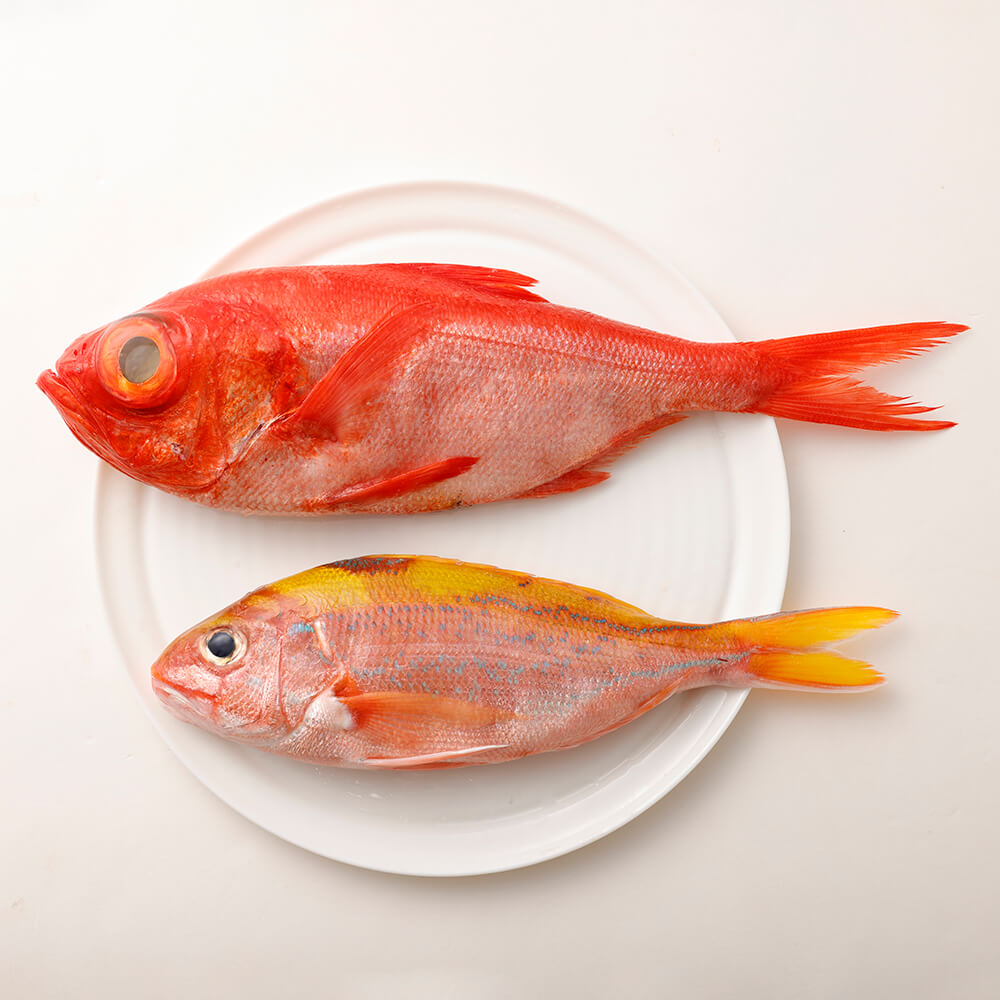 おまかせ！季節の鮮魚 お楽しみセット（水晶コース）天然魚 食べ比べ 魚介類 海鮮料理 詰め合わせ セット 鮮魚 お楽しみ おまかせ 新鮮 魚 季節の魚 美味しい 高知 土佐清水市【R00605】