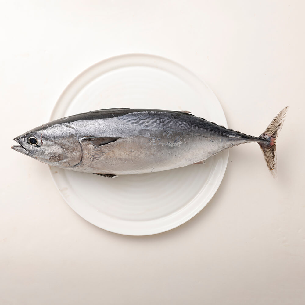 おまかせ！季節の鮮魚 お楽しみセット（水晶コース）天然魚 食べ比べ 魚介類 海鮮料理 詰め合わせ セット 鮮魚 お楽しみ おまかせ 新鮮 魚 季節の魚 美味しい 高知 土佐清水市【R00605】