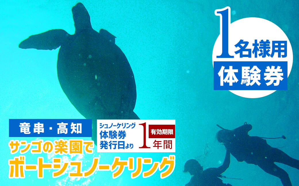 サンゴの楽園 高知・竜串 シュノーケリング 体験券（1名分）【初心者歓迎】絶景 海中公園 ツアー チケット マリンスポーツ 観光 高知 夏休み 自然 スーツ道具料一式込み アクティビティ【R01099】