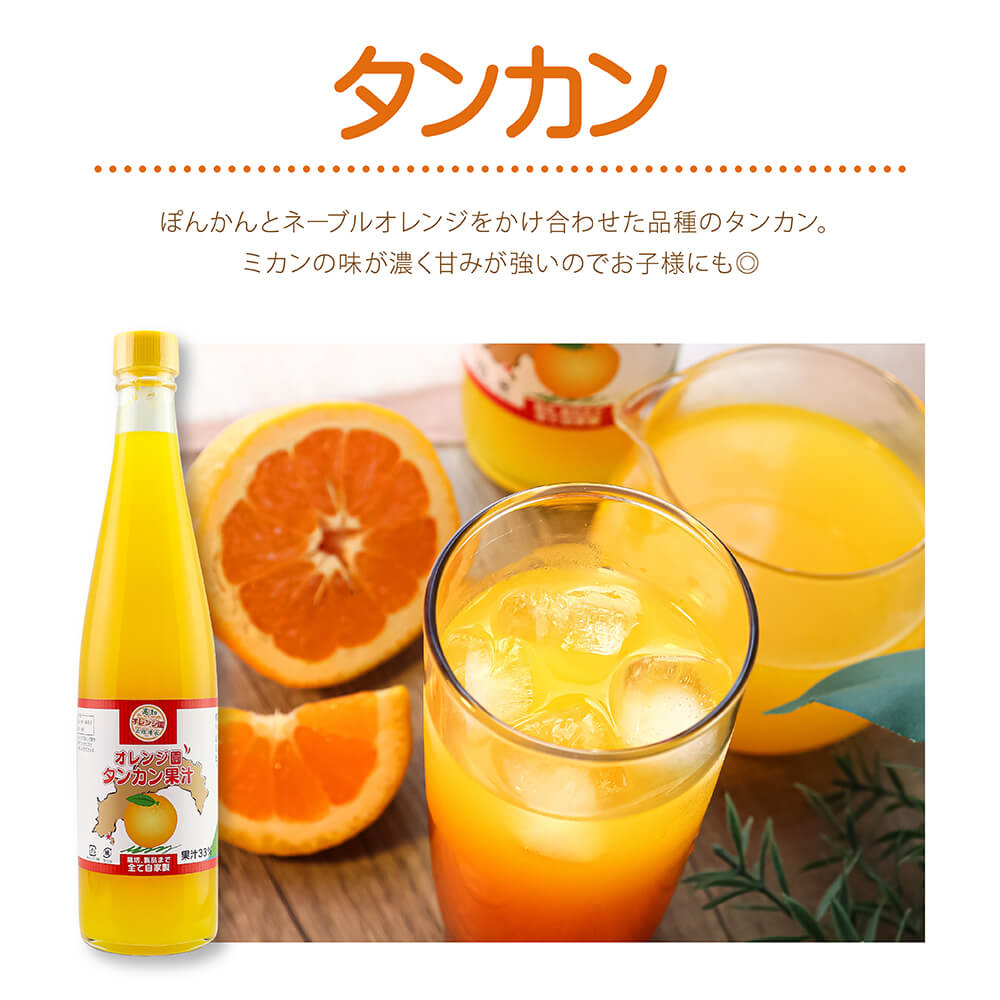 オレンジ園の濃縮ジュース タンカン 500ml 3本 希釈用 みかんジュース チューハイ用 ドリンク ジュース 柑橘類 蜜柑 みかん【R01118】