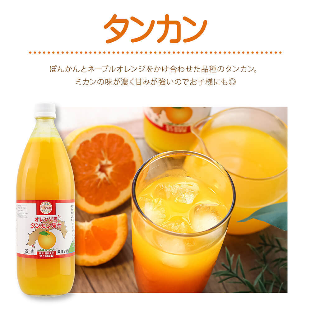 オレンジ園の濃縮ジュース タンカン 1L 3本 希釈用 みかんジュース チューハイ用 ドリンク ジュース 柑橘類 蜜柑 みかん【R01124】