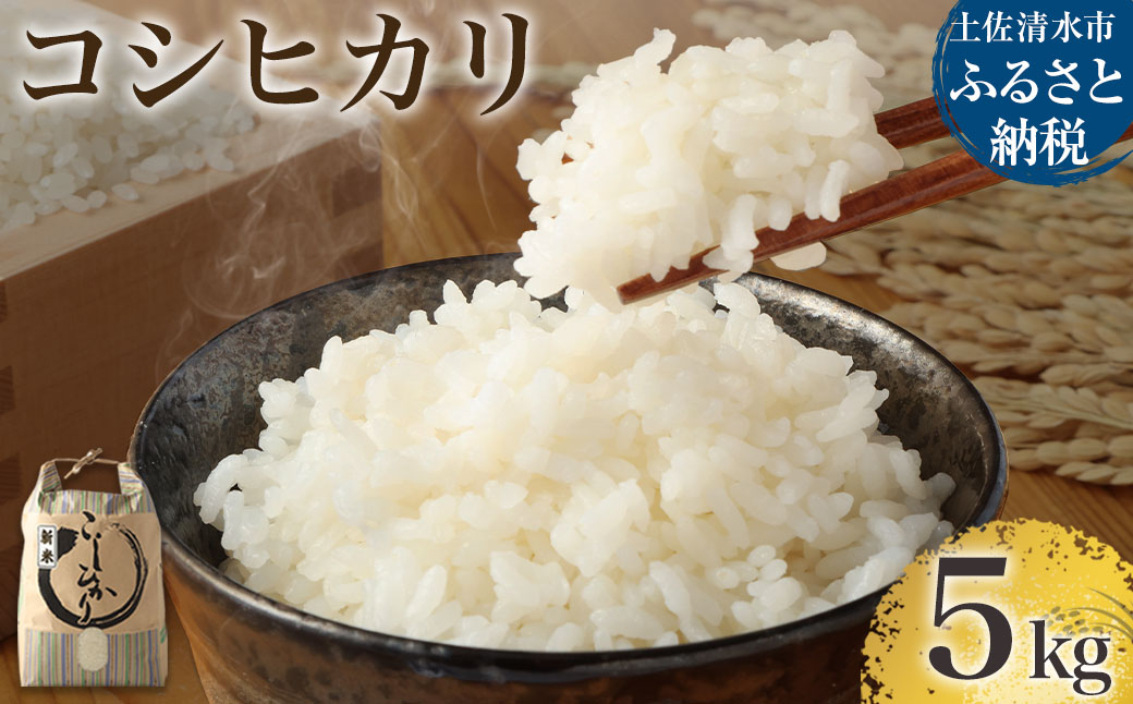 【先行予約】令和6年産 新米 コシヒカリ精米5kg（1袋）白米 お米 ご飯 米 kome こめ コシヒカリ こしひかり 高知県産 5キロ 故郷納税 返礼品 高知 土佐清水市 【R01181】