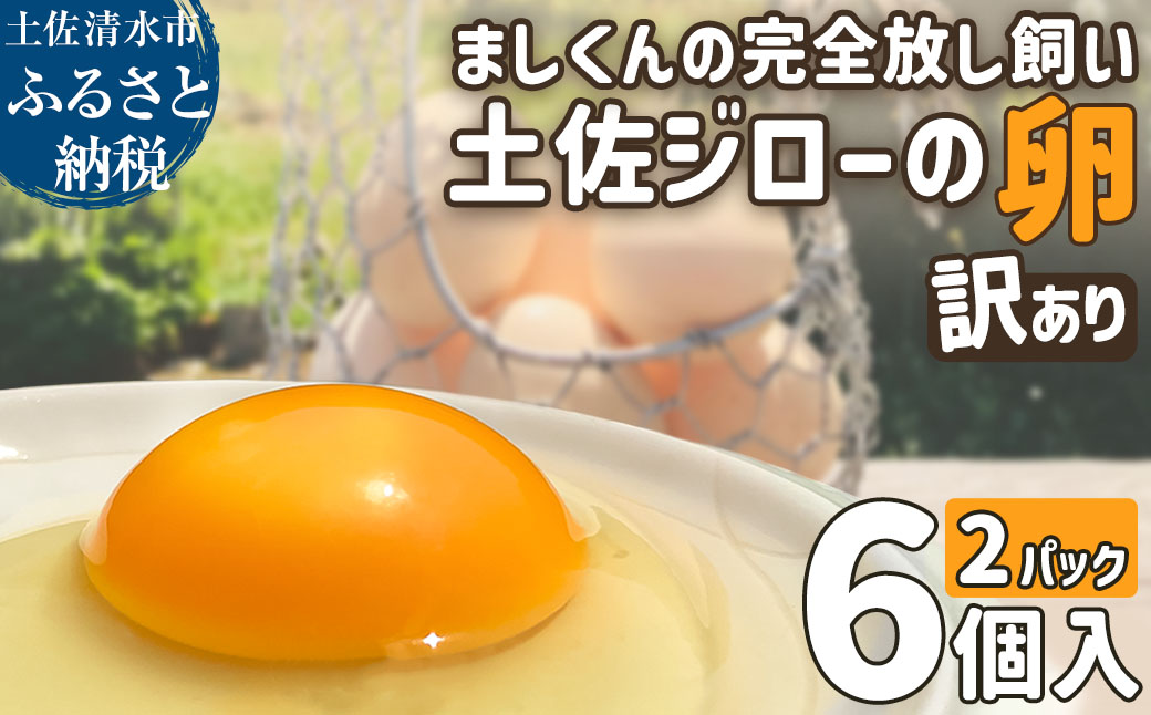 ましくんの完全放し飼い土佐ジローの卵 12個入り 訳あり 不揃い 規格外 ブランド卵 タマゴ 玉子 たまご 生卵 鶏卵 土佐地鶏 濃厚 新鮮 食品 訳アリ 自宅用 ご家庭用【R01216】