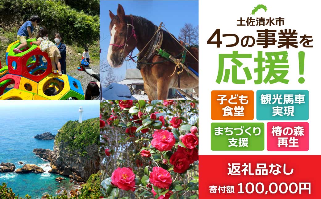 一括寄附で4つの事業を応援！返礼品なし 100,000円（子ども食堂・観光馬車実現・椿の森再生・まちづくり支援）10万円 子供 子育て 福祉 動物保護 自然保護 環境整備 教育 自然【R01226】