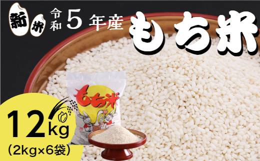 ≪先行受付中≫【四国一小さなまちのもち米】 令和5年産　もち米　12kg （2kg×6袋）