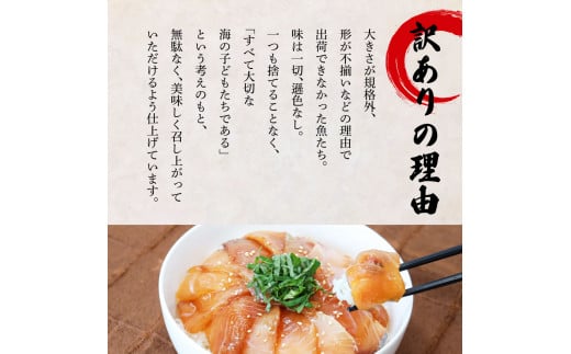 これが魚屋の漬け丼だ！～カンパチ～ 《訳あり》 ８０ｇ×１０P カンパチ かんぱち 漬け丼 漬け どんぶり 丼 10パック 海鮮 魚 真空パック 個食 個包装 冷凍 配送 訳あり 規格外 不揃い