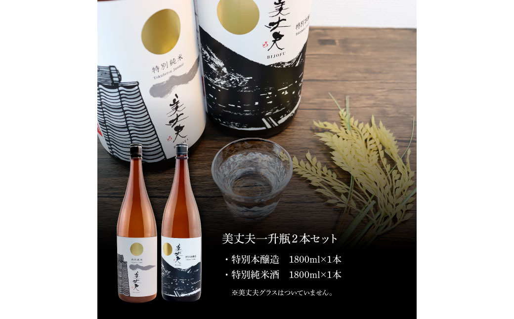 ★四国一小さなまちの地酒★ 美丈夫 特別純米酒＆特別本醸造 ２本セット 1800ml×2本 お歳暮 日本酒 一升瓶 お酒 酒 おさけ 1.8L 度数 14度 15度 おいしい 地酒 男性 父 誕生日