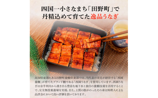 田野町産うなぎの蒲焼き(大) 2尾×6回 定期便 6ヶ月 定期コース 1尾あたり120～150g タレ付き 山椒付き うなぎ 鰻 ウナギ 蒲焼き かば焼き 無頭 おいしい 国産 お取り寄せ 冷凍 配送