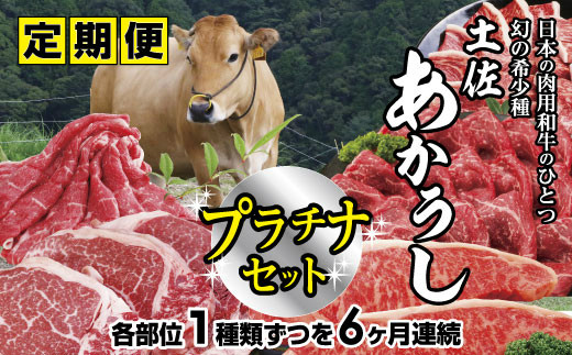 【四国一小さなまち】～2024年1月発送開始～『土佐あかうし』食べつくし！プラチナセット【B】★6ヶ月定期便★