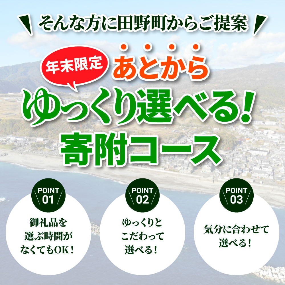 【年末限定】返礼品は後からゆっくり選べる寄附コース★D★ ～2024年度版～ あとから選べる おすすめ 人気 カツオ カツオのたたき うなぎ 鰻 肉 酒 塩 魚 魚介 カタログ 500000円