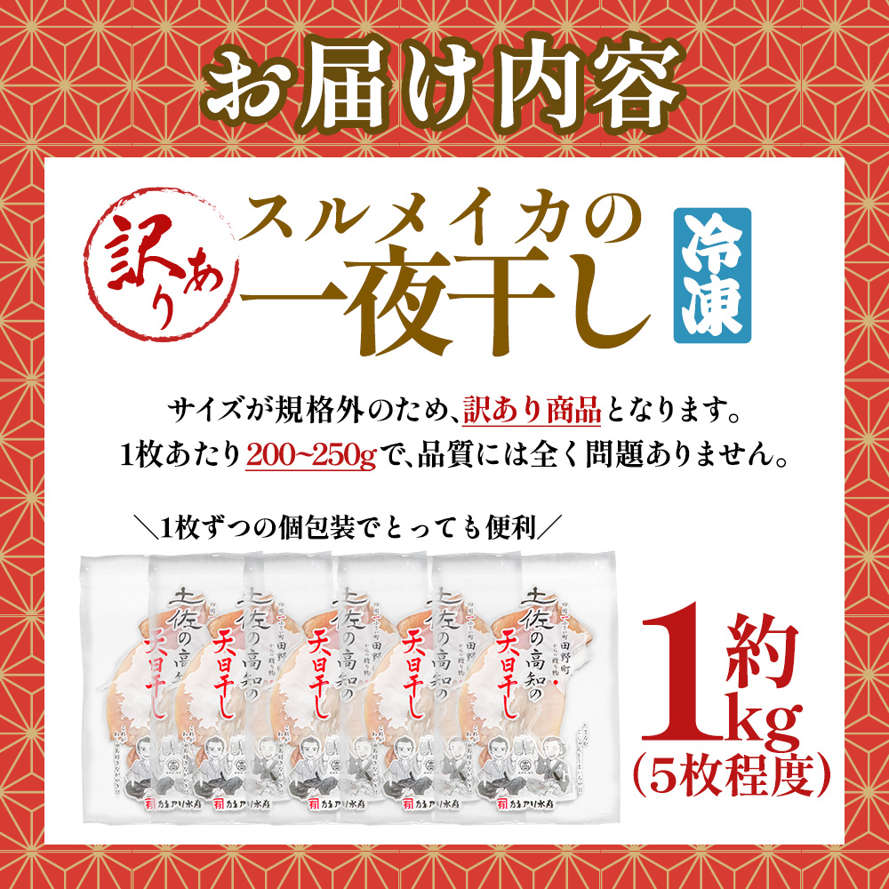 ★訳あり★スルメイカの一日干し 約1kg 5枚程度 冷凍 一日干し 干物 加工食品 肉厚 海鮮 うまみ おつまみ 酒のお供 冷凍 1枚約200g 産地直送 冷凍配送 焼くだけ 簡単 国産 お取り寄せグルメ 高知県産 土佐 高知 返礼品 故郷納税 ふるさとのうぜい 田野町