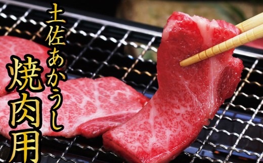 「土佐あかうし」焼肉用1kgと特製万能タレのセット