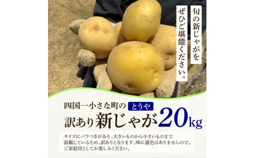 ★先行受付：2024年5月発送開始★大野台地で採れた 令和6年産新じゃがいも『とうや』20kg 訳あり品 20キロ イモ ジャガイモ 芋 いも ポテト 野菜 おいしい なめらか 旬 国産 お取り寄せ 送料無料