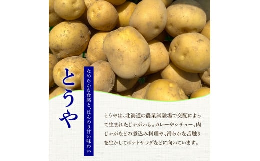 【ふるさと納税】★先行受付：2024年5月発送開始★大野台地で採れた 令和6年産新じゃがいも『とうや』5kg 訳あり品 5キロ トウヤ イモ 新じゃが ジャガイモ 芋 いも ポテト 野菜 おいしい なめらか 旬 国産 お取り寄せ 常温 配送 送料無料 高知県 田野町 故郷納税 返礼品