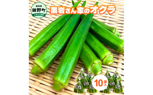 黒岩さん家のオクラ 10袋 オクラ 国産 おくら 国産オクラ 新鮮野菜 美味しい 野菜 厳選 新鮮 おかず 常温 副菜 惣菜 煮物 朝どれ 詰め合わせ 取り寄せ グルメ お取り寄せグルメ お取り寄せ