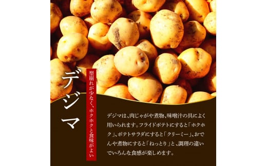 【四国一小さなまちのじゃがいも】★令和6年11月中旬発送開始★ 大野台地で採れた『 令和6年産 秋じゃが 』 20kg