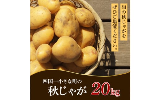 【四国一小さなまちのじゃがいも】★令和6年11月中旬発送開始★ 大野台地で採れた『 令和6年産 秋じゃが 』 20kg