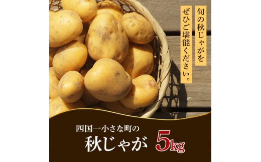 【四国一小さなまちのじゃがいも】★令和6年11月中旬発送開始★ 大野台地で採れた『 令和6年産 秋じゃが 』 5kg