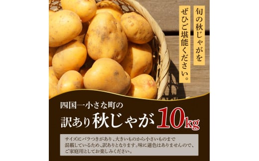 【四国一小さなまちのじゃがいも】★令和6年11月中旬発送開始★ 大野台地で採れた『 令和6年産 秋じゃが 』 10kg　～ 訳あり ～