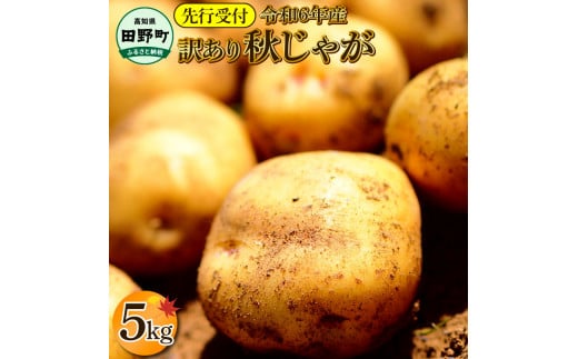 【四国一小さなまちのじゃがいも】★令和6年11月中旬発送開始★ 大野台地で採れた『 令和6年産 秋じゃが 』 5kg　～ 訳あり ～