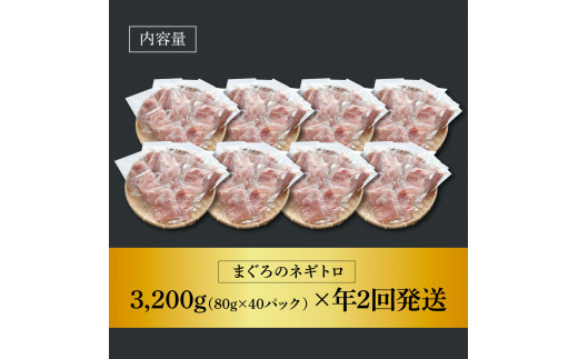 ～四国一小さなまち～ ≪カネアリ水産≫ まぐろのネギトロ 3,200g（80g×40パック）×年2回配送 ねぎとろ 鮪 マグロ キハダマグロ まぐろたたき 粗挽き 小分け パック 海鮮 魚介 便利