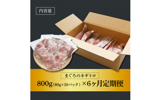 ～四国一小さなまち～ ≪カネアリ水産≫ まぐろのネギトロ 800g（80g×10パック）×6ヶ月定期便 ねぎとろ 鮪 マグロ キハダマグロ まぐろたたき 粗挽き 小分け パック 海鮮 魚介 便利