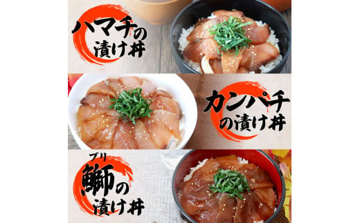 【ふるさと納税】これが魚屋の漬け丼だ！海鮮5種食べ比べセット 80g×10P 3ヶ月定期便 訳あり 鮪 マグロ ハマチ 鯛 タイ カンパチ ブリ 海鮮丼 おかず 惣菜 魚 魚介類 個包装 小分け 真空パック お取り寄せ 冷凍 配送 高知県 田野町 ふるさとのうぜい 故郷納税 返礼品